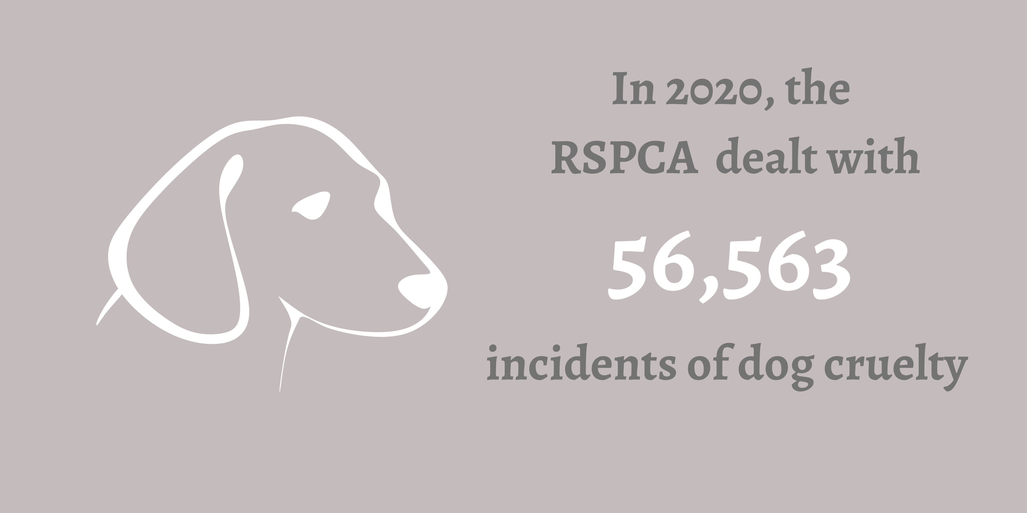 Infographic. In 2020, the RSPCA dealt with 56,563 incidents of dog cruelty.