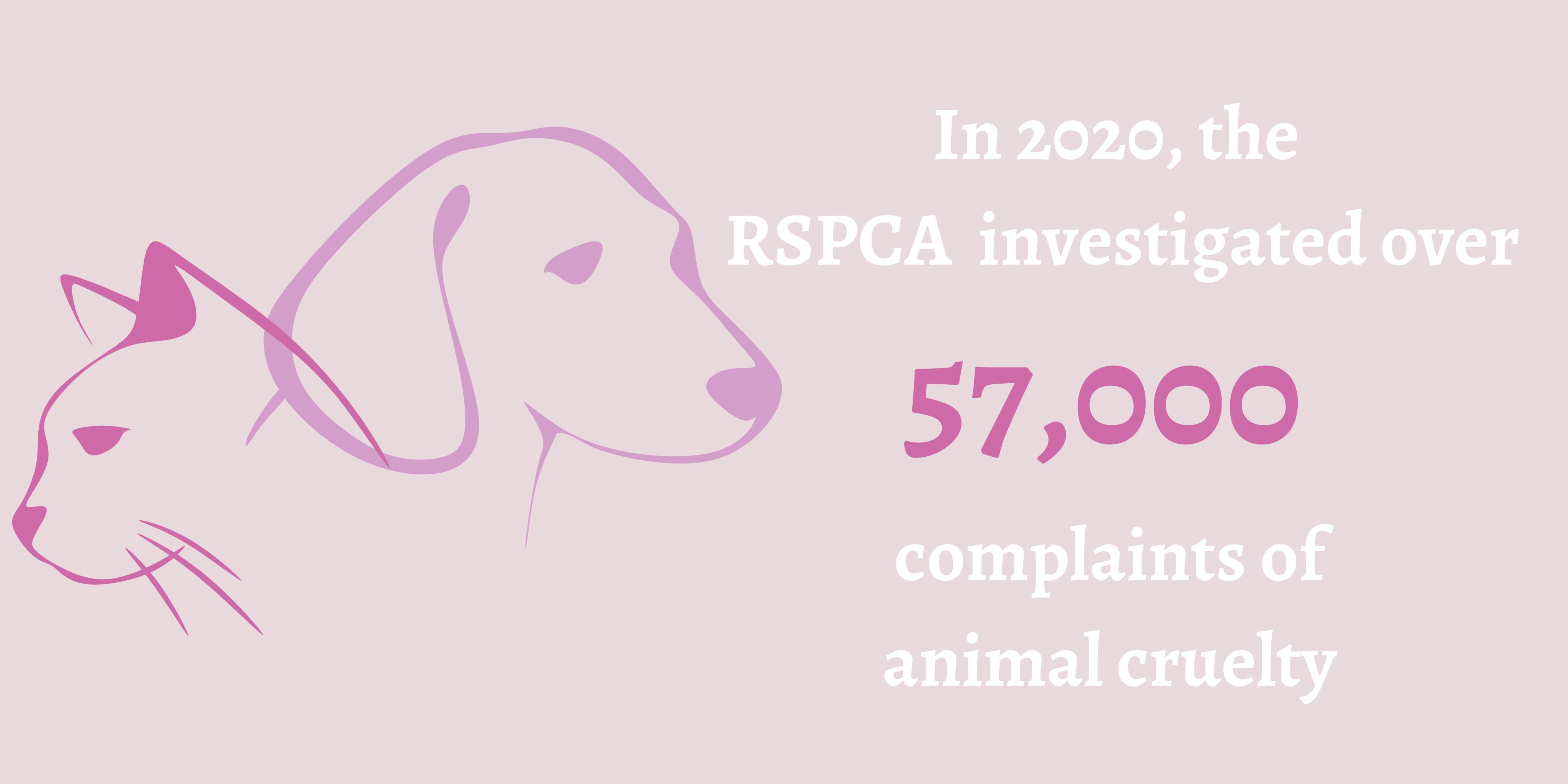 Infographic. In 2020, the RSPCA investigated over 57,000 complaints of animal cruelty.