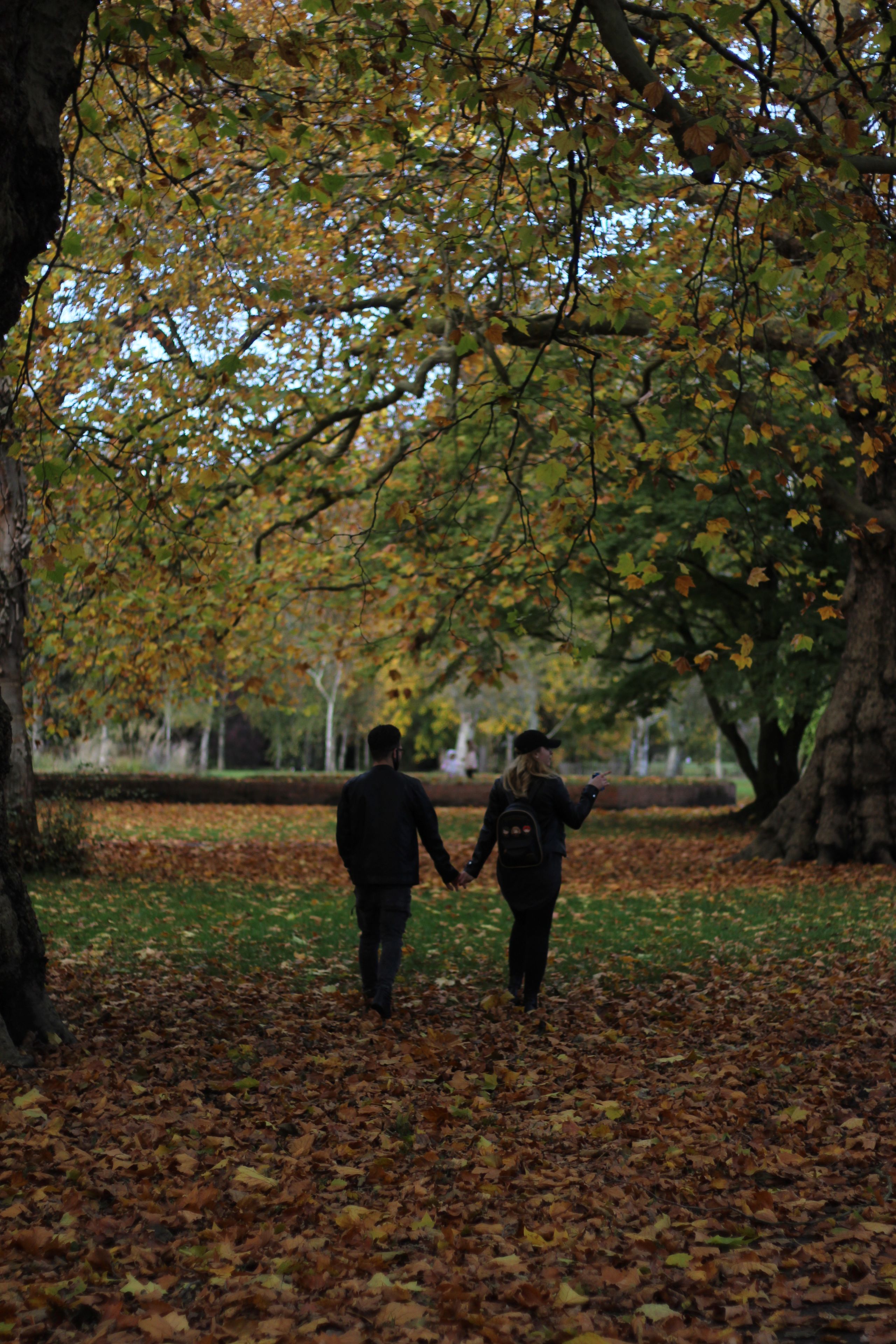 Couple walking in a park